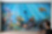 Endbild%20v1%20IMG_3351%20besser_edited.